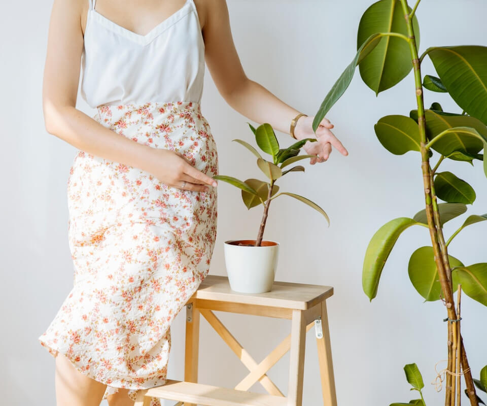 ACFで画像が出ない場合